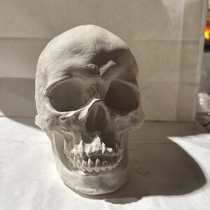 White Skull Sculpture for Home Decor